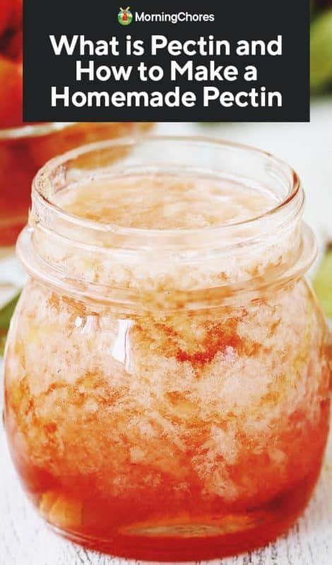 What Is Pectin And How To Make A Homemade Pectin Canning Recipes