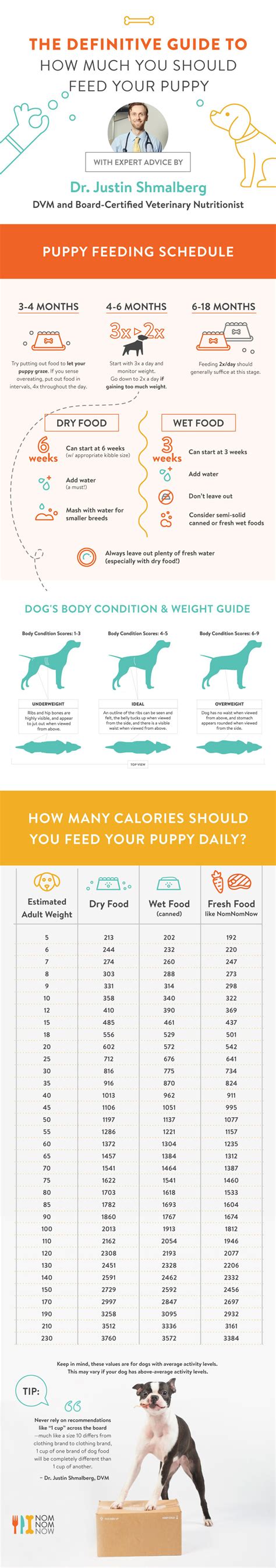 Is the best puppy food wet or dry? Nom Nom Now's Definitive Guide to Feeding Your Puppy ...