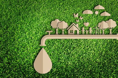 The Green Life Easy Ways To Make Your Home More Sustainable