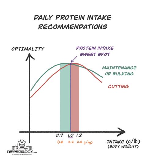 Why The Best Macronutrient Ratio Does Not Exist