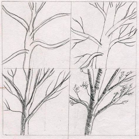 Art By Aunt Marcy Simple Pencil Drawing Of A Tree Pal