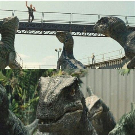 Jurassic World Raptor Scene