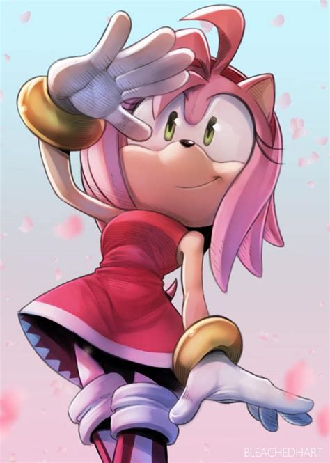Amy Rose 🌹 By Bleachedhart Sonic The Hedgehog Know Your Meme