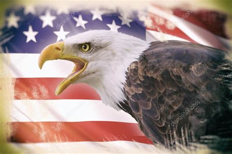 Usa Flag Eagle Wallpaper