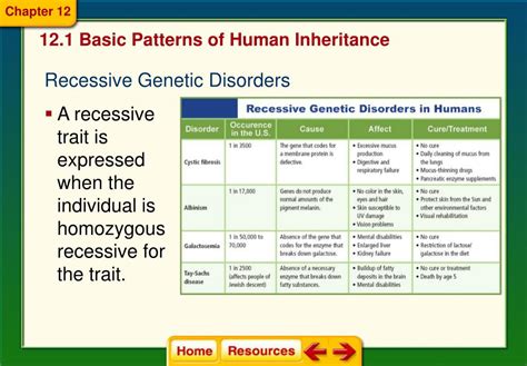 Ppt 121 Basic Patterns Of Human Inheritance Powerpoint Presentation