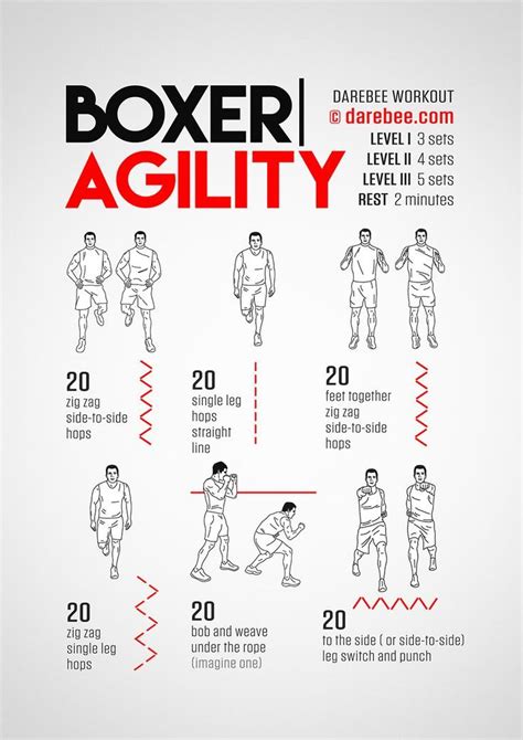Boxer Agility Workout Concentration Lower Body Boxer Workout Boxing