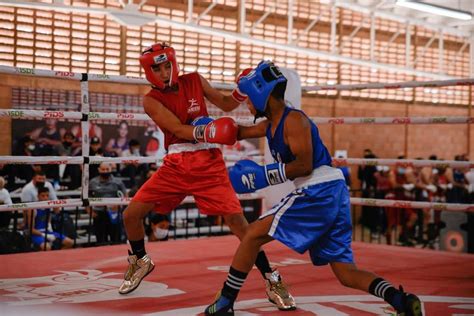 Culiacán Y Ahome Dominan Selectivo Estatal De Boxeo