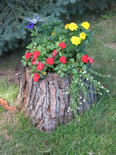 Have a tree stump left in your yard? Tree Trunk Ideas That Make Excellent Decor For Your Garden