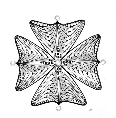 19 4 Pt Symmetry Drawing By Jeanne Donovan
