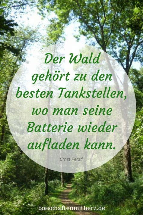 Zitate über viele themen des lebens. Der Wald gehoert zu den besten Tankstellen, wo man seine ...