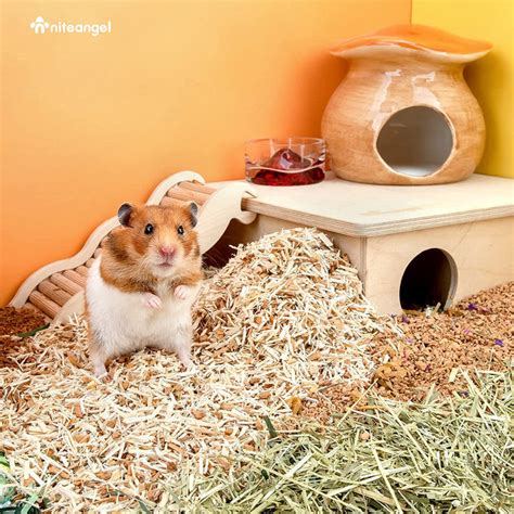 Niteangel Classic Mix Natural And Soft Hamster Bedding For Syrian Dwarf