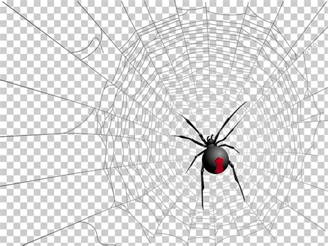Black Widow Spider Web Clipart 10 Free Cliparts Download Images On