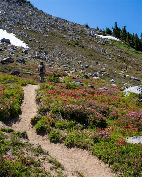 The 11 Best Hikes At Mt Hood Easy Hikes Waterfalls