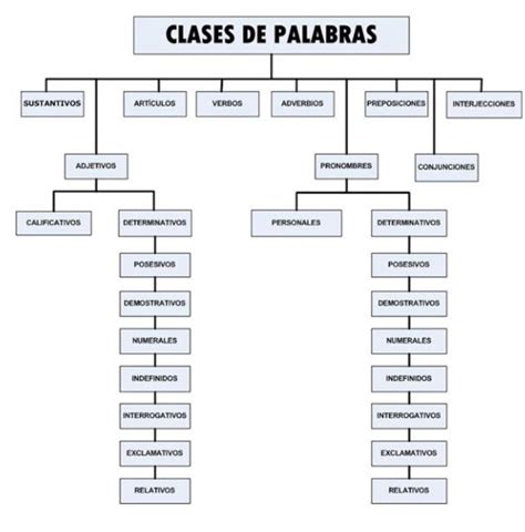 Qué Tipo De Palabra Es Todos Con Ejemplos Resumen Fácil