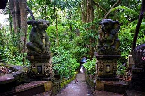 Sacred Monkey Forest Ubud Explore Shaw