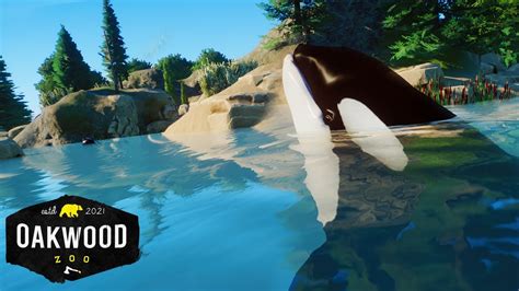 Real Orca Habitat In Planet Zoo New Mod 🐋 Planet Zoo Mod Zoo