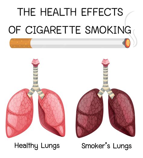 Póster Sobre Los Efectos Del Tabaquismo En La Salud Vector Premium