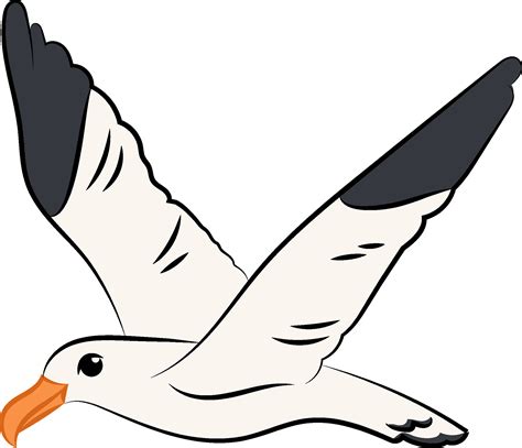 Flying Seagull Png