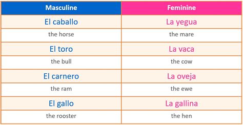 Spanish Noun Gender