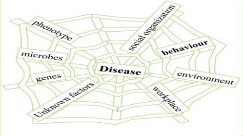 Web Of Causation Of Disease