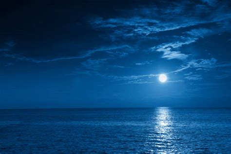 27700 Moonlight Water Stock Photos Pictures And Royalty Free Images