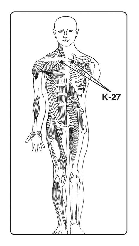K 27 Energy Buttons Shiatsu Massage Acupressure Acupressure Treatment
