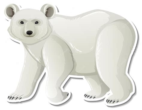 Bear Whites Clip Art Library