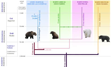 Taxonomia Y Sitematica Sistema Binomial De Nomenclatura