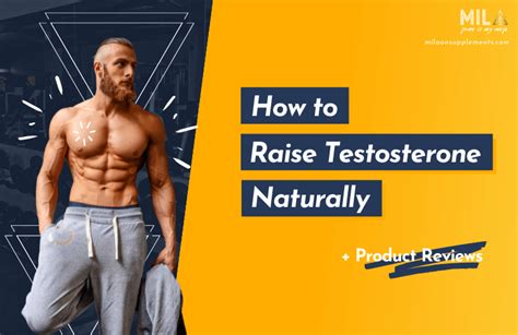 How To Raise Testosterone Naturally 7 Supplements To Try Out