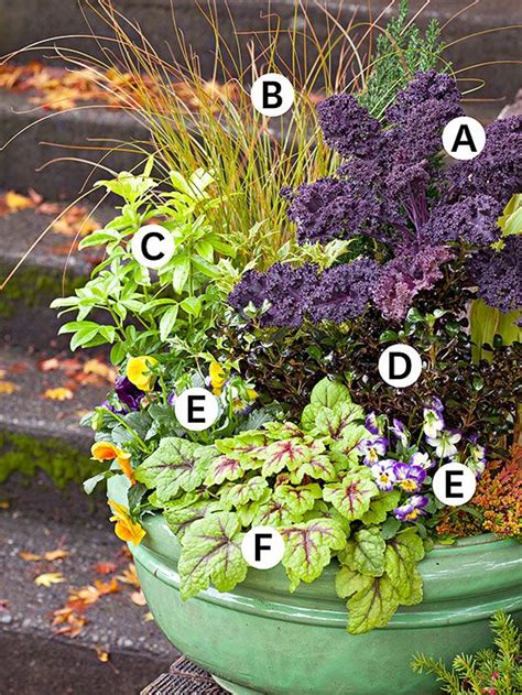 116 Best Fall And Winter Gardening Images On Pinterest Gardening