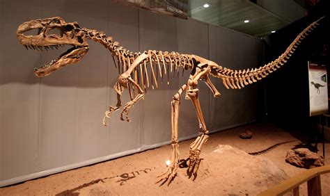 モノロフォサウルス Wikiwand
