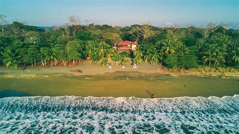 Things To Do In Puerto Jimenez Costa Rica On The Osa Peninsula