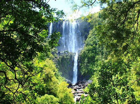 Matamata New Zealand 2024 Best Places To Visit Tripadvisor