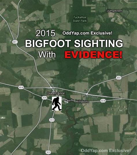 Exclusive Md Bigfoot Sighting With Photos And Evidence