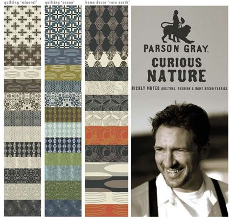 Fabric Envy Curious Nature By Parson Gray Giveaway From Fabric Envy