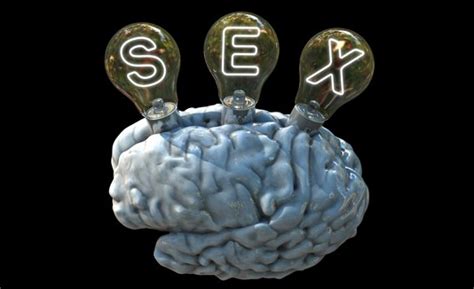 Qué siente el cerebro durante el sexo