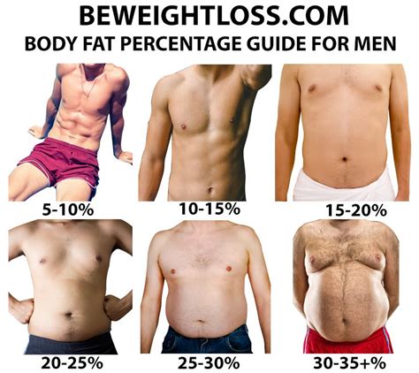 body fat percentage chart for women and men examples