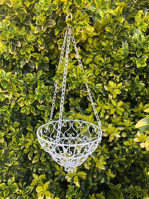 Vintage Wrought Iron Hanging Gardenplanter Basket Outdoor Etsy