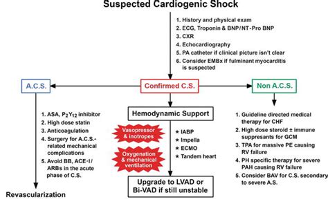 Role of plaque rupture and plaque erosion. Cardiogenic Shock | IntechOpen