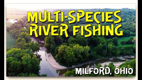 Hours may change under current circumstances Multi-Species day on the East Fork Little Miami (Milford ...