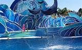 San Diego And Seaworld Packages Images