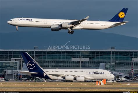 D Aihx Lufthansa Airbus A340 600 At Frankfurt Photo Id 1177098