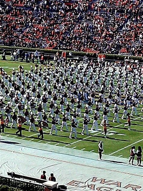 Best Band Ever Auburn Marching Band War Eagle Auburn University