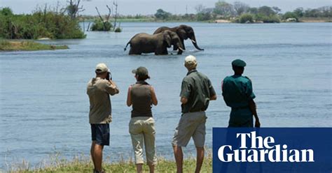 Malawis First Big Five Safari Park Safaris The Guardian