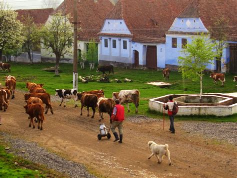 Private Tour Of Rural Romania Via Transylvania Tours Self Drive