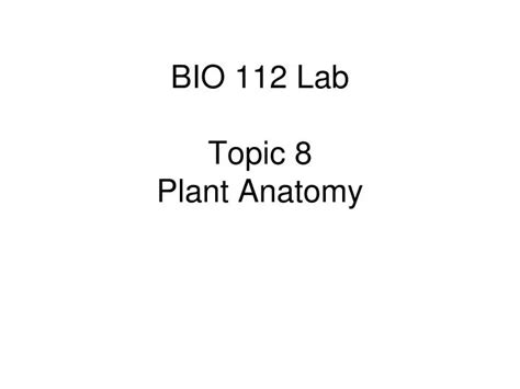 Ppt Bio 112 Lab Topic 8 Plant Anatomy Powerpoint Presentation Free