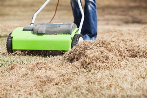 Easy Steps For Getting Rid Of Thatch • Greenview