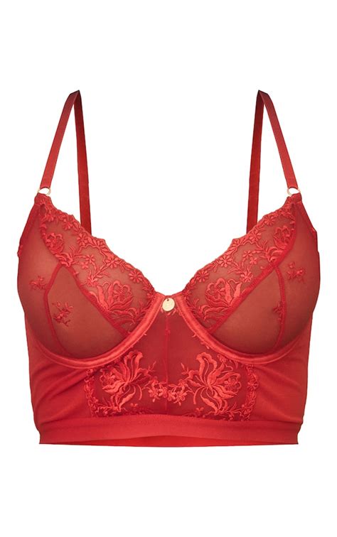 Red Embroidered Lace Underwired Longline Dd Bra Prettylittlething