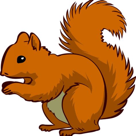 Flying Squirrel Clipart At Getdrawings Free Download