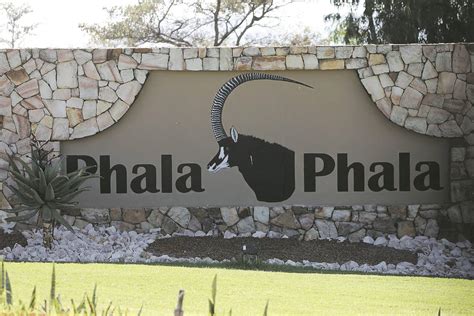 atm takes phala phala fight to court daily sun